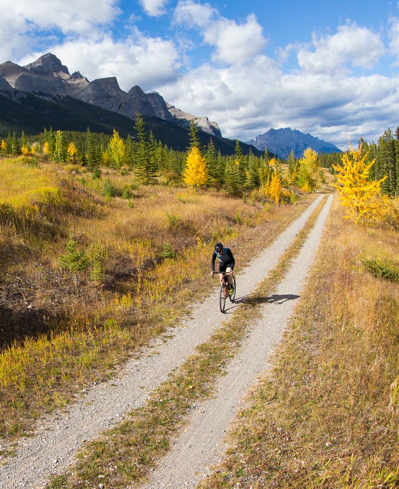 Gravel, road, and endurance cyclist in training